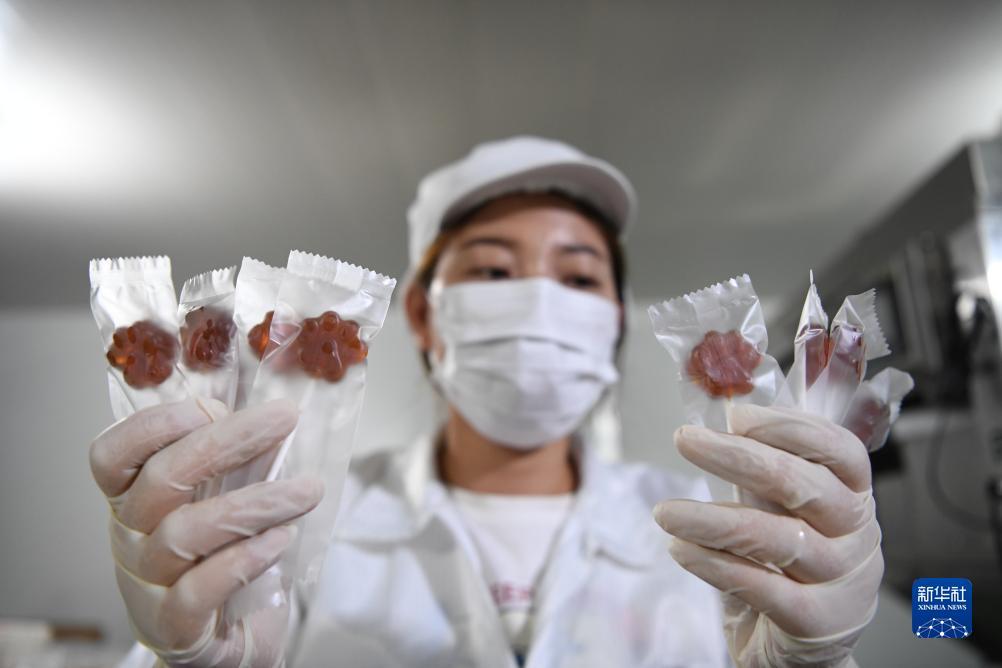 捕鱼大师hd